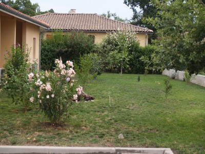 Le jardin.
