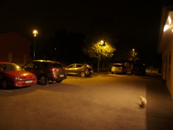Le parking, la nuit.